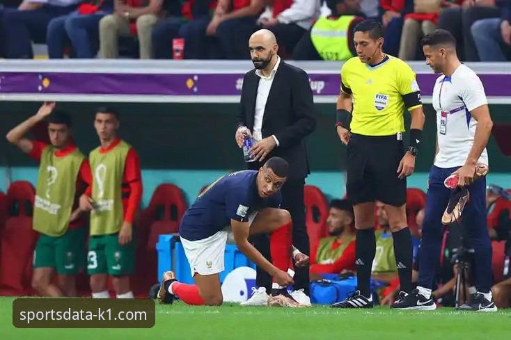 揭秘K1体育官网：数据驱动决策背后的实战平台真相